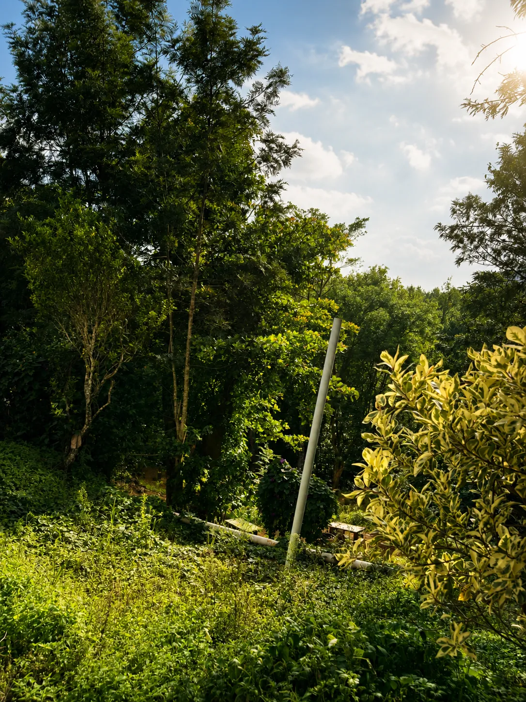 Garden 4