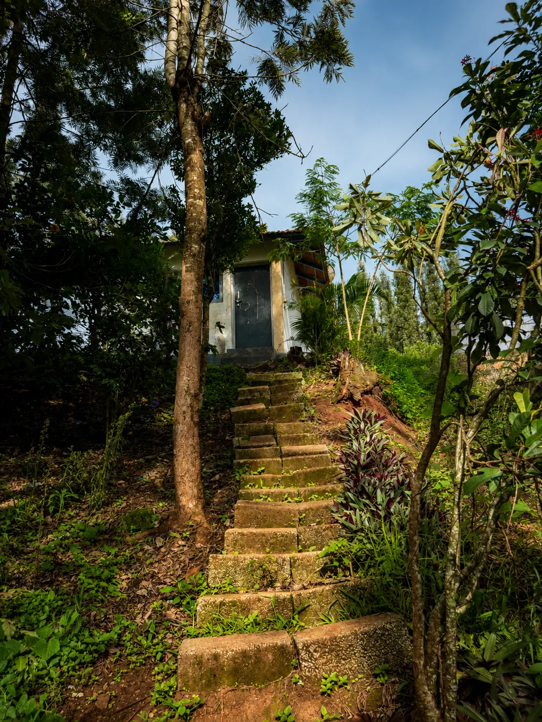 Garden 2